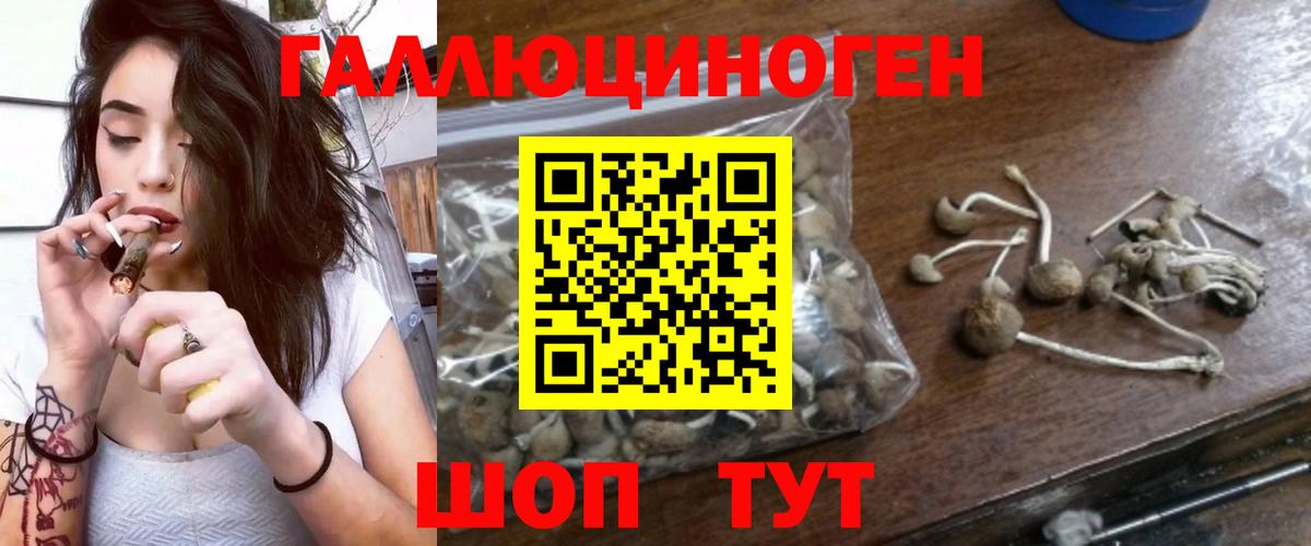 Псилоцибиновые грибы GOLDEN TEACHER  Вход с VPN  Бахчисарай 