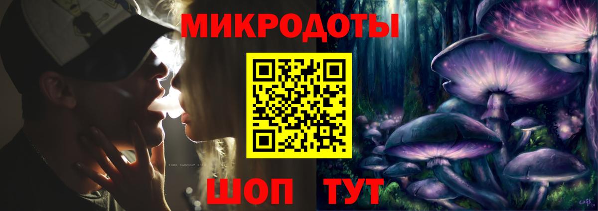 Псилоцибиновые грибы Cubensis Бахчисарай